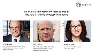 When private investment fears to tread: The role of public development banks