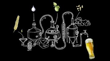 Beer: the science of brewing | My Mooc