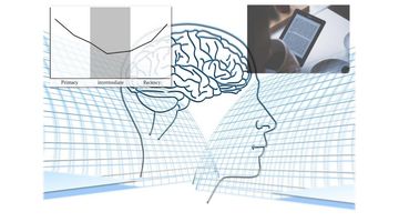 Serial Position Effect: How to Create Better User Interfaces | My Mooc