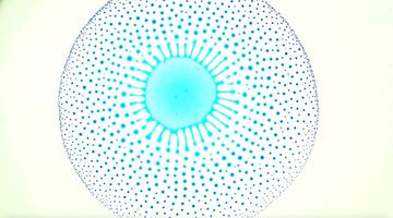 Dynamics of fluid interfaces | My Mooc